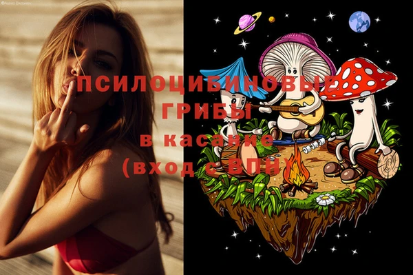 дживик Дмитриев