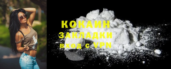 дживик Дмитриев