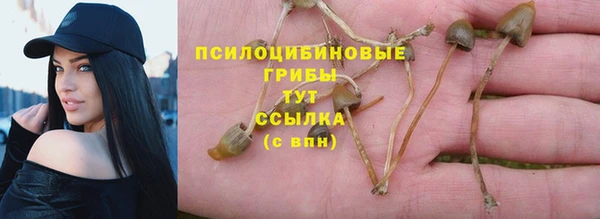 спайс Дмитров