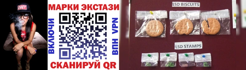 дарнет шоп  Жердевка  Марки 25I-NBOMe 1,8мг 